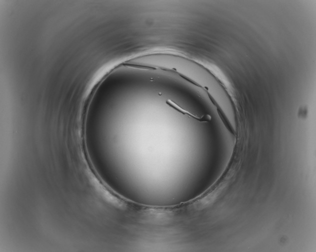 X0000091970910200709201402