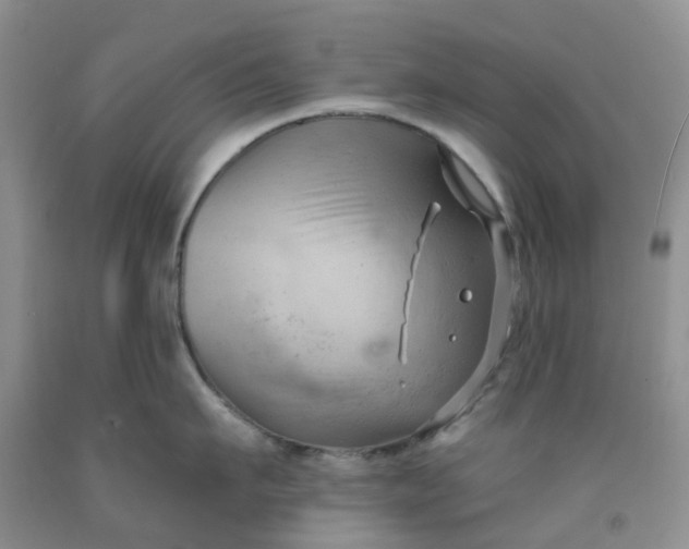 X0000091970911200709201402
