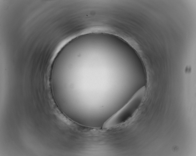 X0000091970912200709201402
