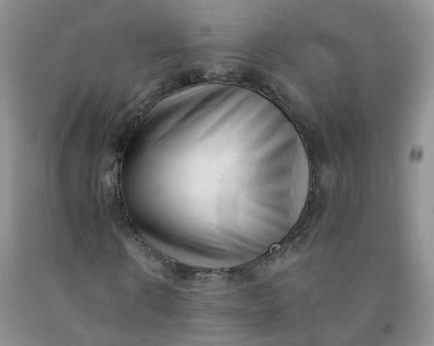 X0000091970914200709201402