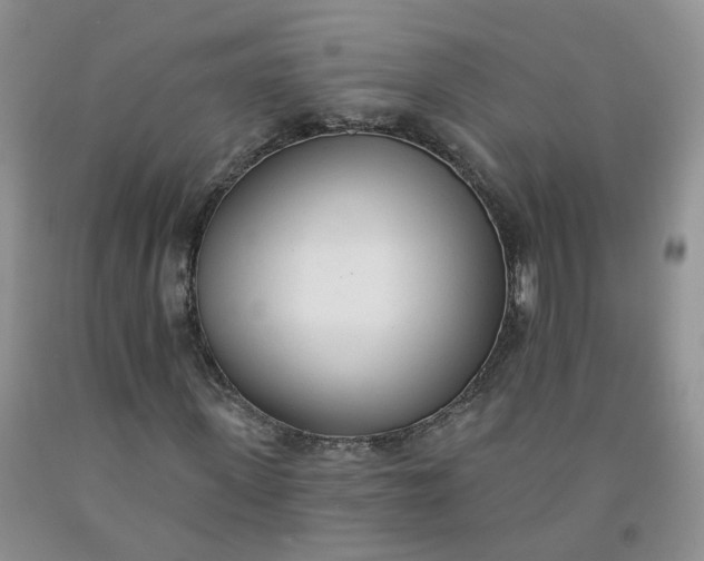 X0000091970915200709201402