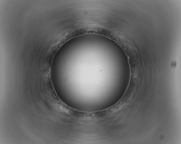 X0000091970916200709201402