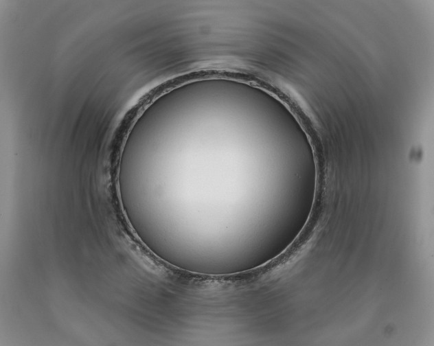 X0000091970923200709201402
