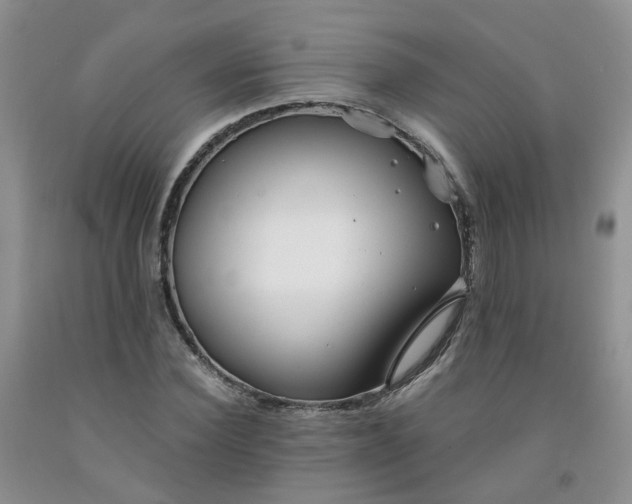 X0000091970924200709201402