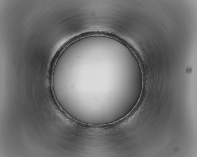 X0000091970927200709201402