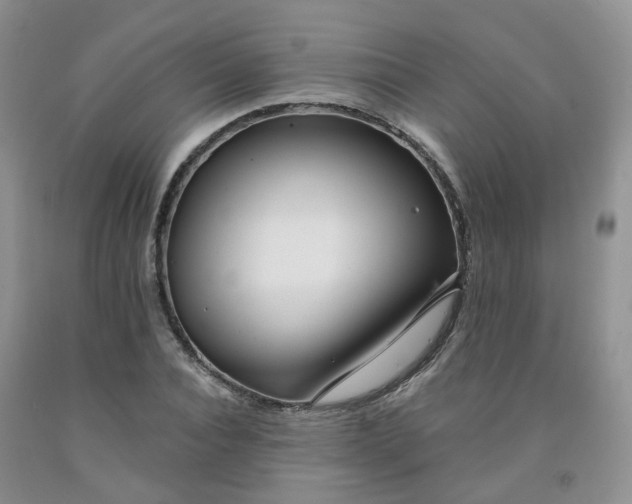 X0000091970928200709201402