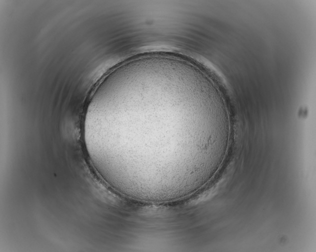 X0000091970929200709201402