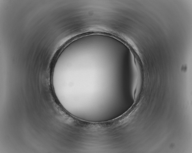 X0000091970931200709201402