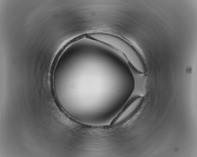 X0000091970932200709201402