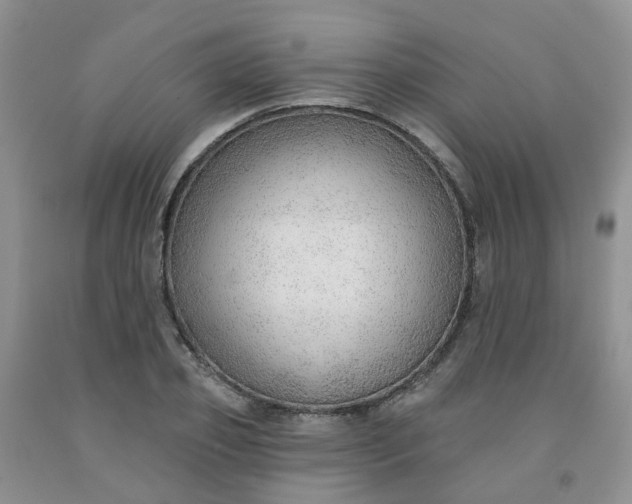 X0000091970933200709201402