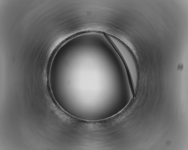 X0000091970936200709201402