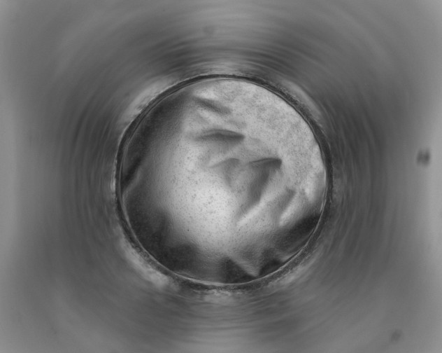 X0000091970938200709201402