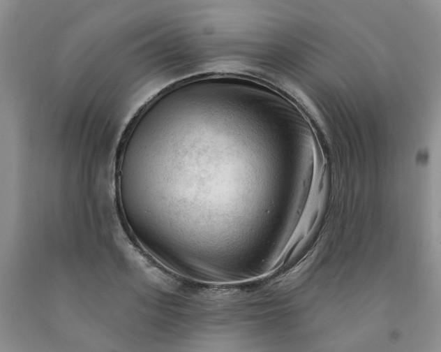 X0000091970939200709201402