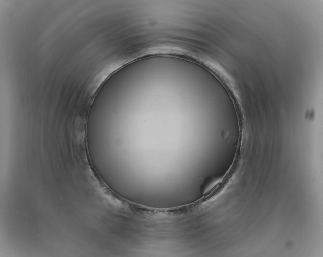 X0000091970945200709201402