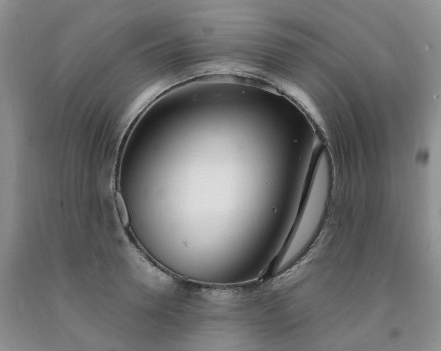 X0000091970946200709201402