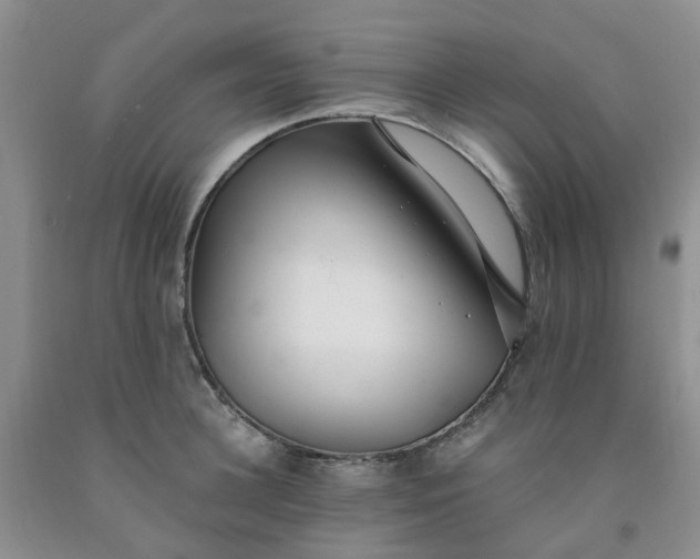 X0000091970948200709201402