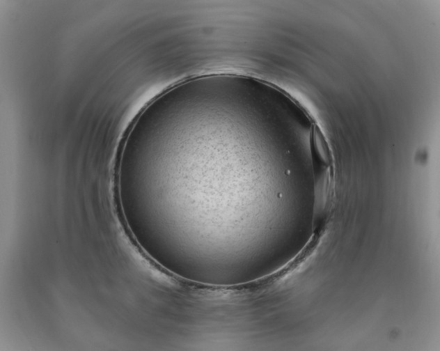 X0000091970949200709201402