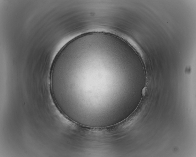 X0000091970951200709201402