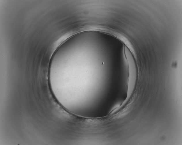 X0000091970954200709201402