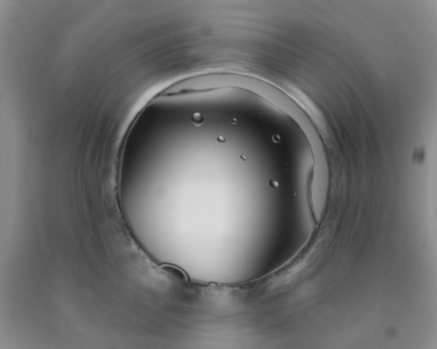 X0000091970956200709201402