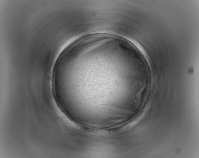 X0000091970957200709201402