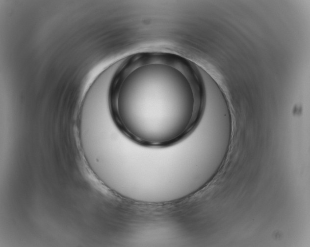 X0000091970960200709201402