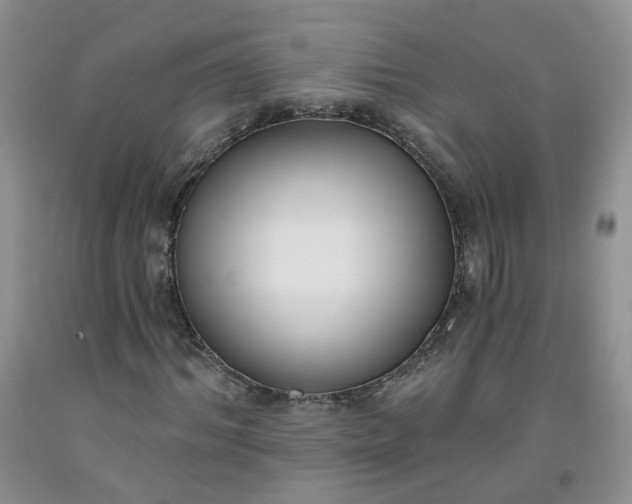 X0000091970964200709201402