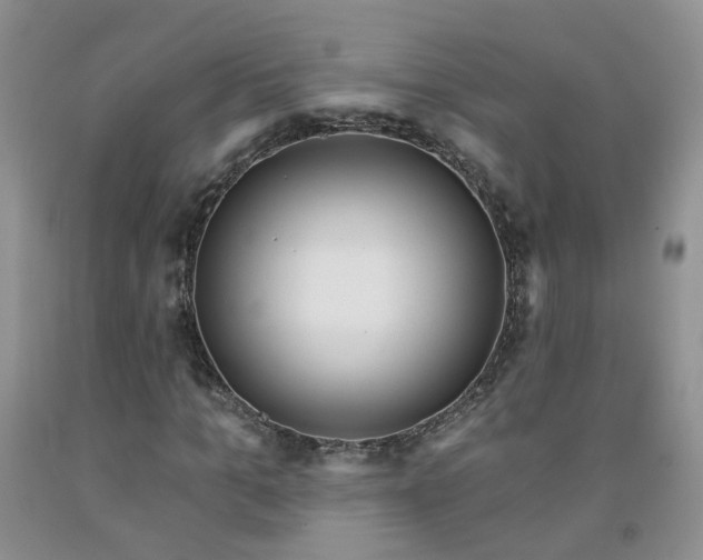 X0000091970965200709201402