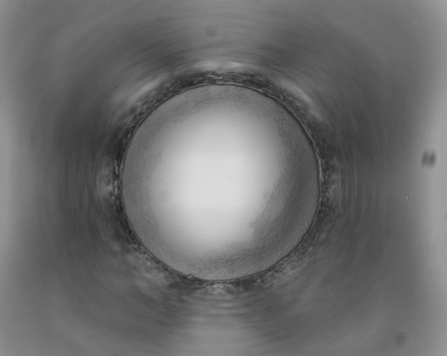 X0000091970966200709201402