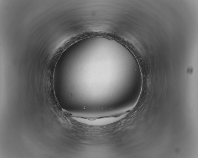 X0000091970968200709201402