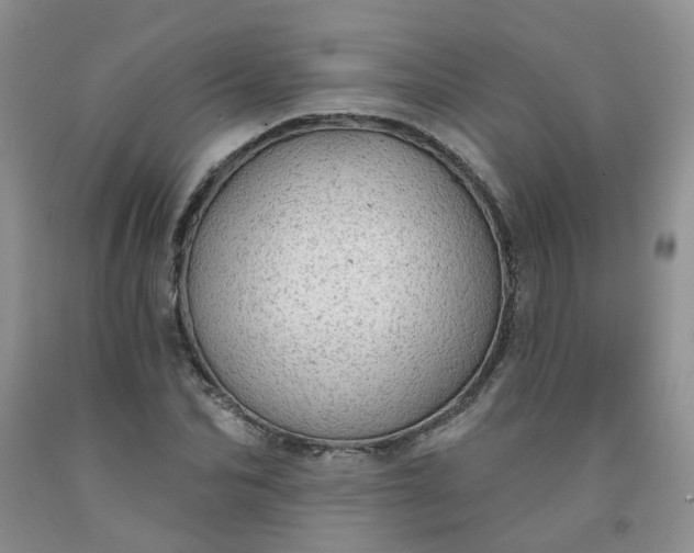 X0000091970974200709201402