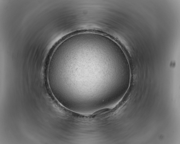 X0000091970975200709201402