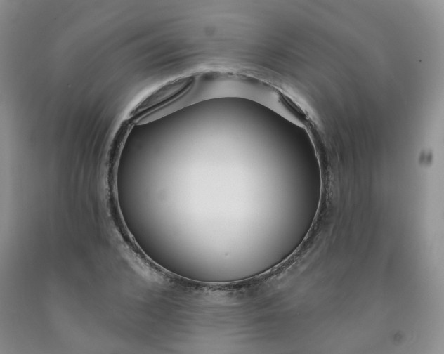 X0000091970976200709201402