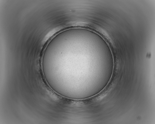 X0000091970978200709201402