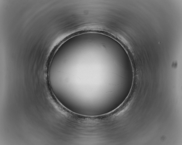 X0000091970981200709201402