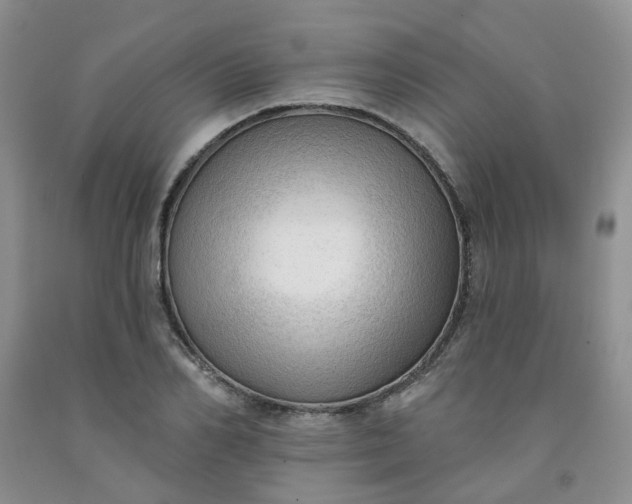 X0000091970982200709201402
