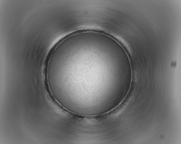 X0000091970983200709201402