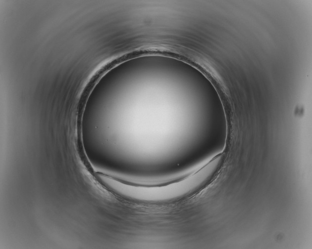 X0000091970984200709201402
