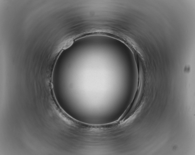 X0000091970985200709201402