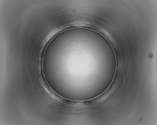 X0000091970986200709201402
