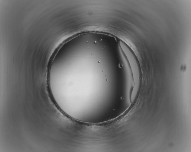X0000091970992200709201401