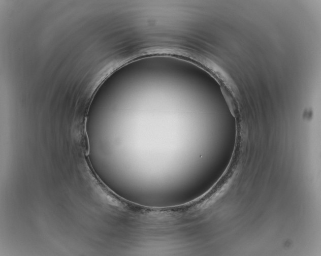 X0000091970993200709201401