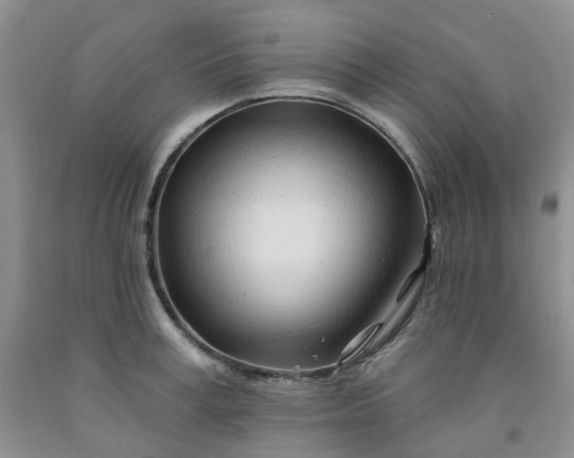 X0000091970995200709201401