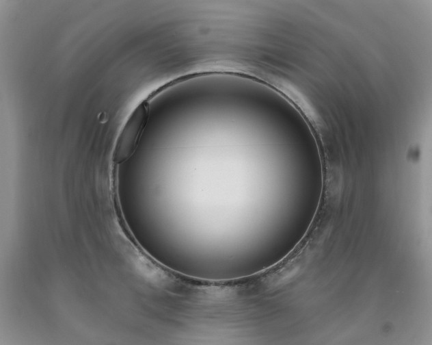 X0000091970996200709201401