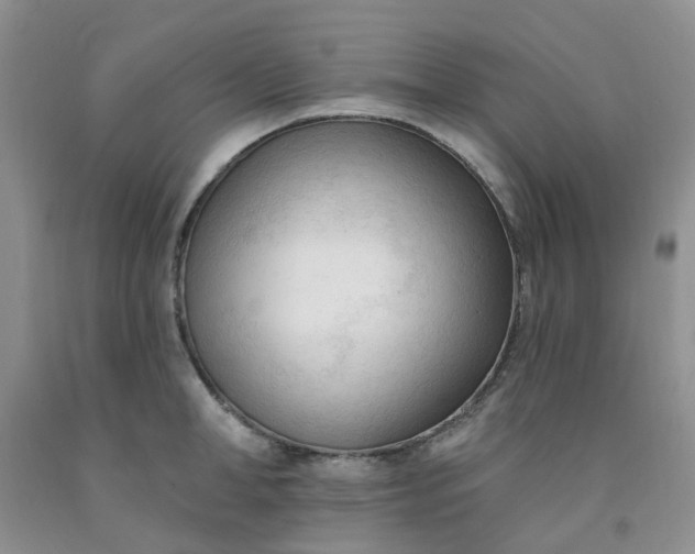 X0000091970998200709201401