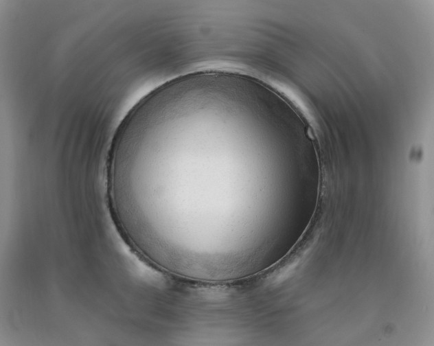 X0000091970999200709201401