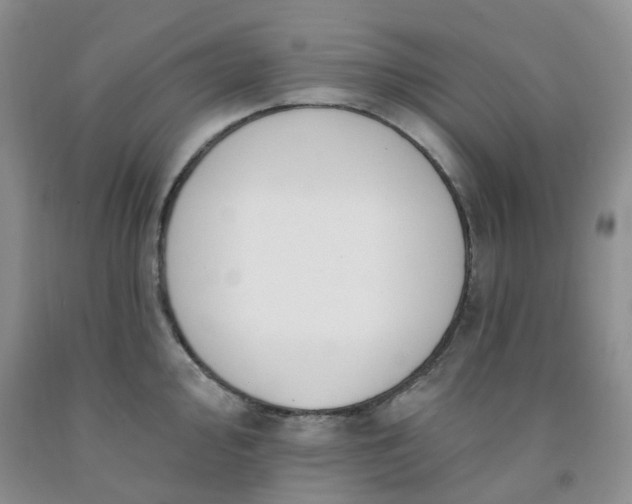 X0000091971000200709201401