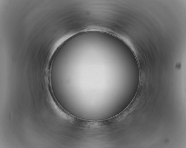 X0000091971003200709201401