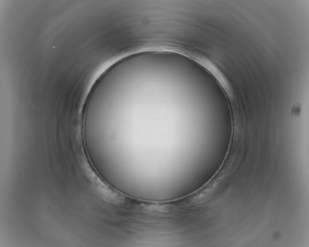 X0000091971004200709201401