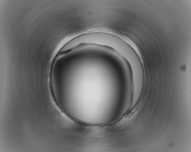 X0000091971005200709201401